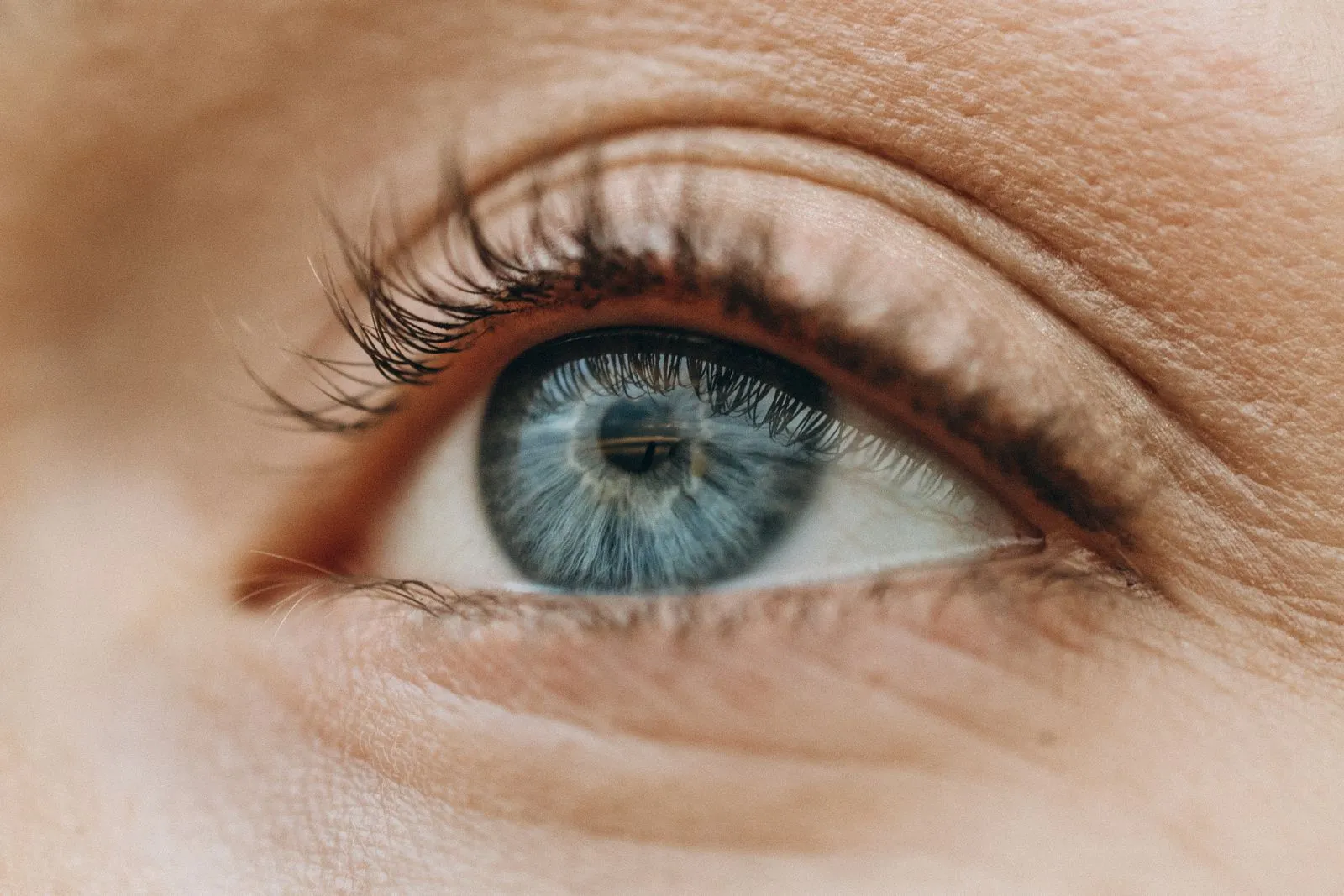 What to Expect at a Lower-Lash Extension Appointment